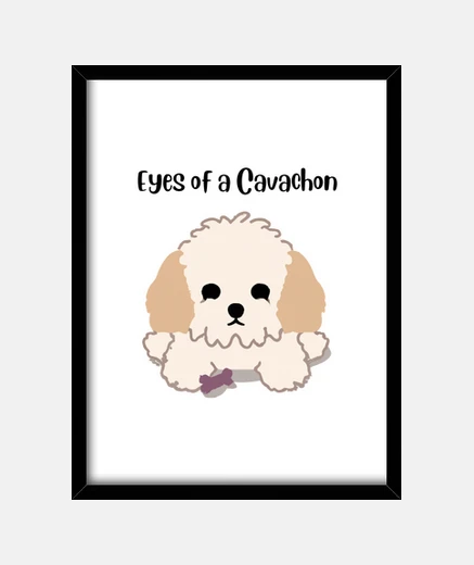 Framed Eyes of a Cavachon