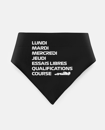 Mascotas f1 essais libre qualifications course