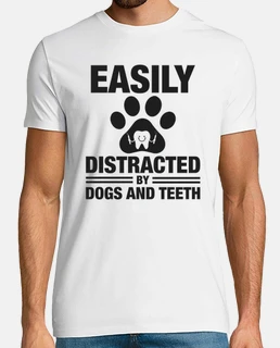 facilement distrait par les chiens