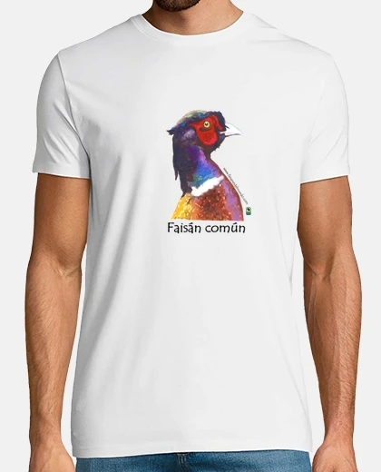 Faisán común