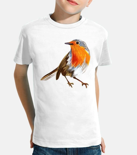 Ropa familiar robin passerines