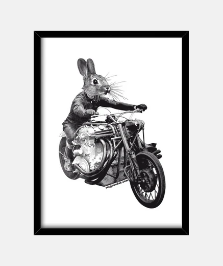 Cadre fast rabbit