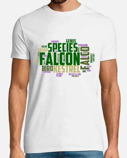Tee-shirt fauconnerie typographie stage faucon