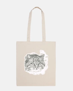 Felis silvestris