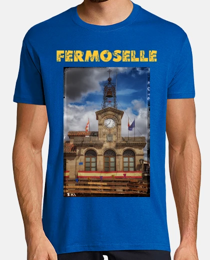 Fermoselle ayuntamiento