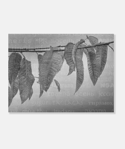Tableau feuilles d'automne