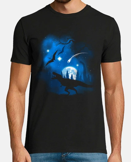 T-shirt final meteorite