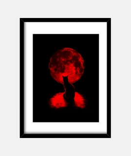 fissando la luna