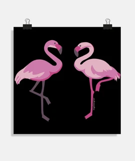 flamants roses