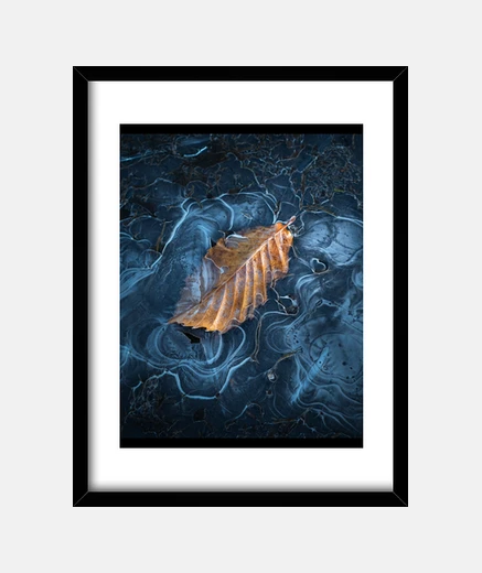 Quadro foglia autunnale coperta di ghiaccio ne