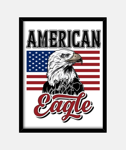 Framed frame american flag with eagle