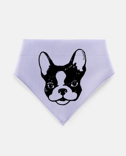 Mascotas french bulldog