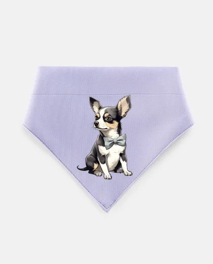 Mascotas fun con il cane di razza messicana chih