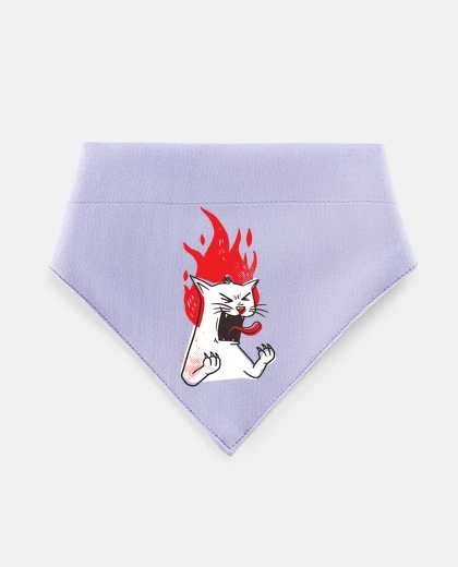 Mascotas fun umorismo di gatto arrabbiato