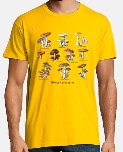 T-shirt funghi orsi vellenosi