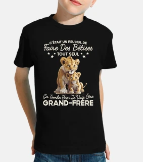 Futur Grand Frere Cadeau Annonce