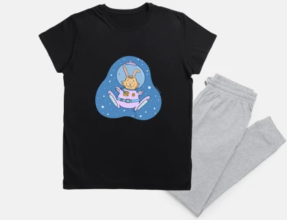 galactic astronaut rabbit