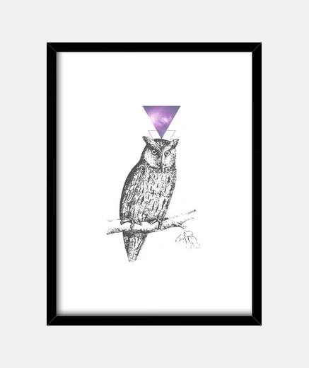 Framed galaxy owl 1