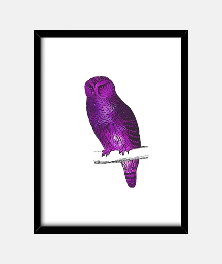 Framed galaxy owl 3