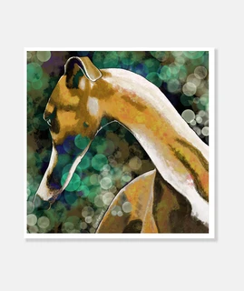 Galgo barcino entre luces