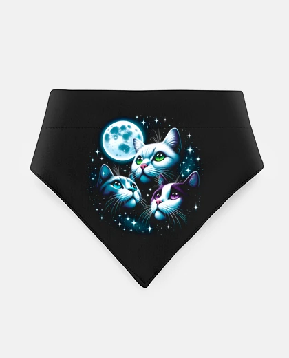 Mascotas Gatitos a La Luz de la Luna Llena Gatos