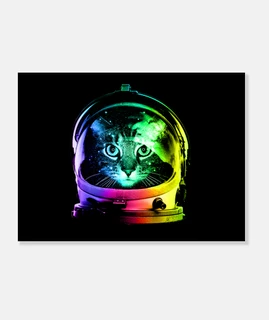 gato astronauta