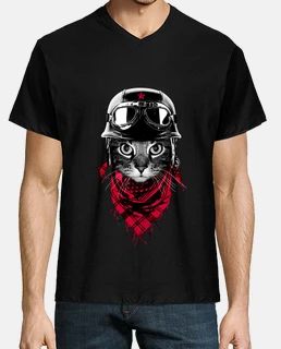 gato aventurero