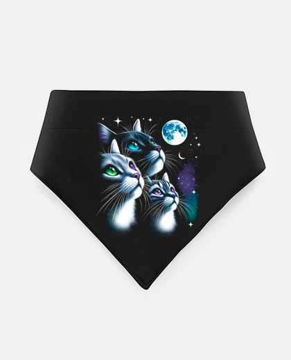 Mascotas Gatos a La Luz de la Luna Llena Gatitos