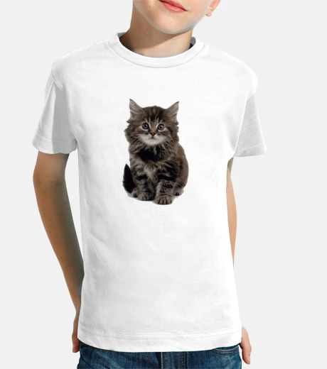 Abbigliamento gattino