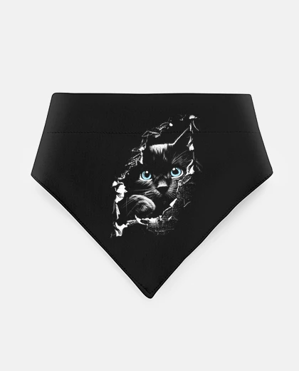 Mascotas gattino nero che osserva gli occhi azzu