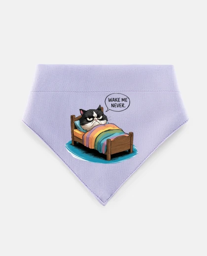 Mascotas gatto a letto arcobaleno non disturbare