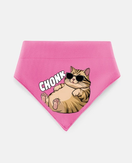 Mascotas gatto arancione chonk