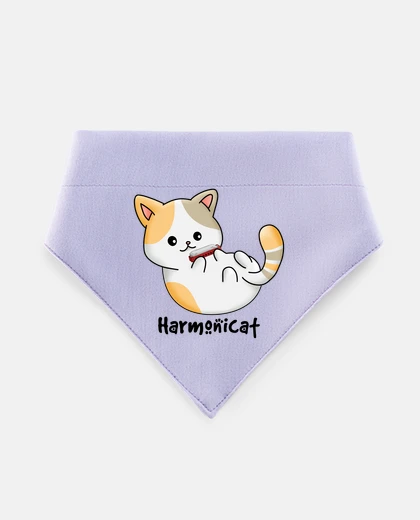 Mascotas gatto armonica gioco di parole fun ny