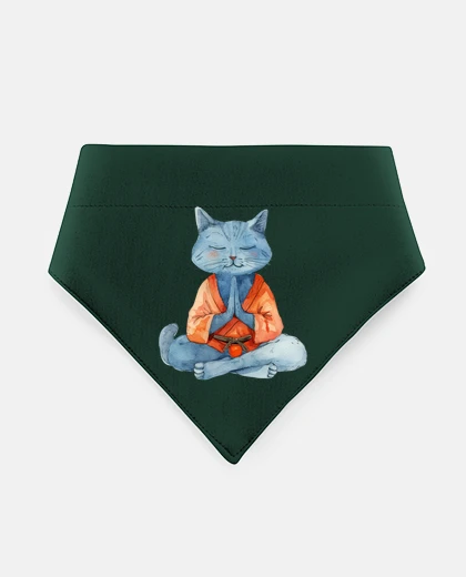 Mascotas gatto che fa yoga meditazione relax