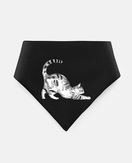 Mascotas gatto grigio che si estende fun fun ny