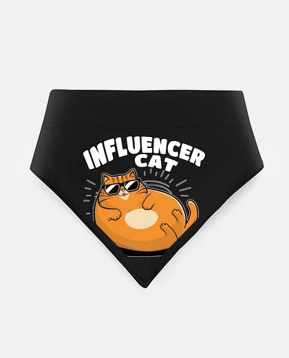 Mascotas gatto influencer divertente