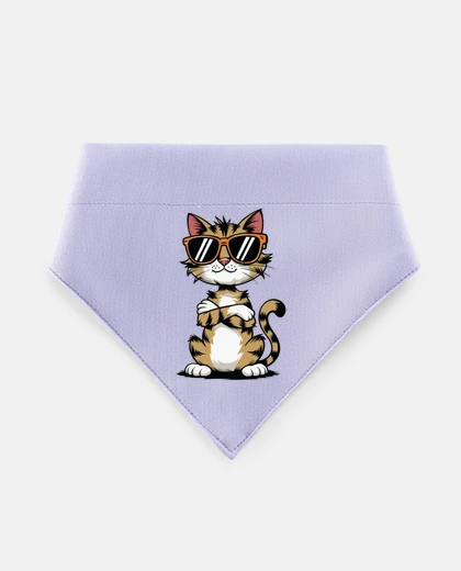 Mascotas gatto sarcastico ribelle provocatorio