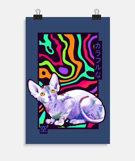 Poster gatto sfinge colorato