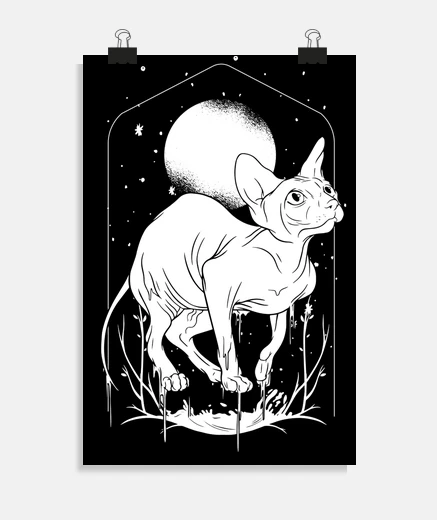 Poster gatto sfinge senza peli nell&#39;universo poster sulla salute personaggio del soggiorno