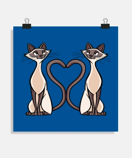 Poster gatto siamese innamorato, disegna cuore, allevamento, prezzo, poster per allevamento