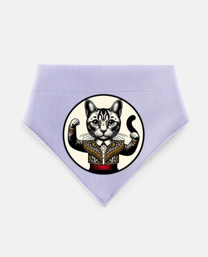 Mascotas gatto spagnolo in abito da matador gattino con la figa della madre