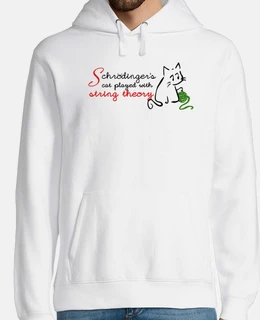 gatto di schr&ouml;dinger
