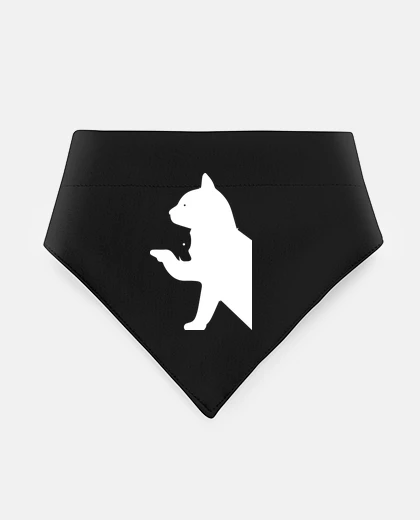 Mascotas gattoto e cane