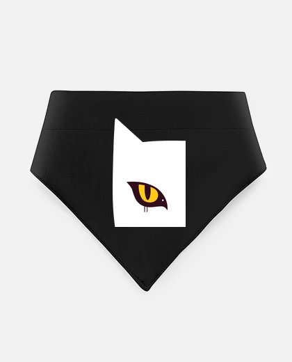 Mascotas gattoto e uccello
