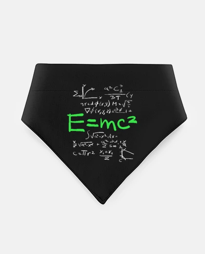 Mascotas general special relativity chaos theory intelligent dog