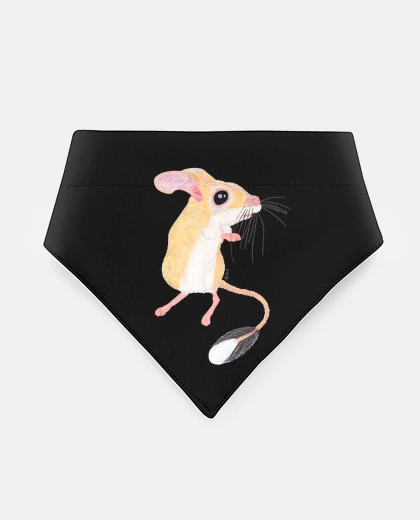 Mascotas gerboise
