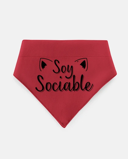 Mascotas gifts for cats