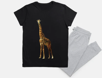 giraffe long neck biggest heart zoo night sleep