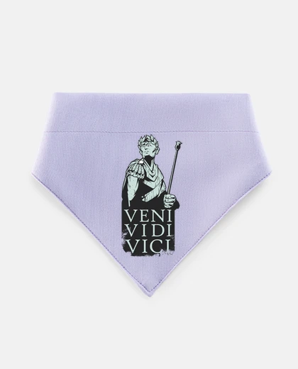 Mascotas giulio cesare veni vidi vici gioco di ruolo del guerriero della vittoria