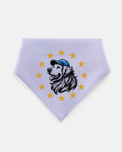 Mascotas golden retriever - stars